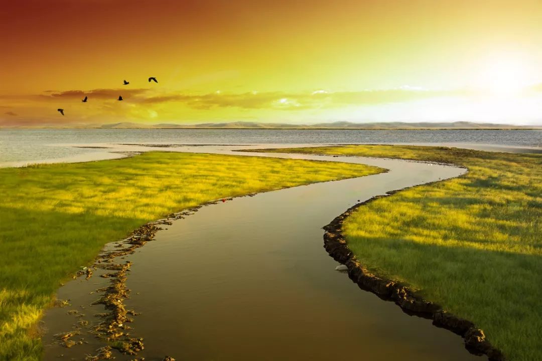 连绵的群山、广袤的草原、蜿蜒的河流……它就是独一无二的若尔盖