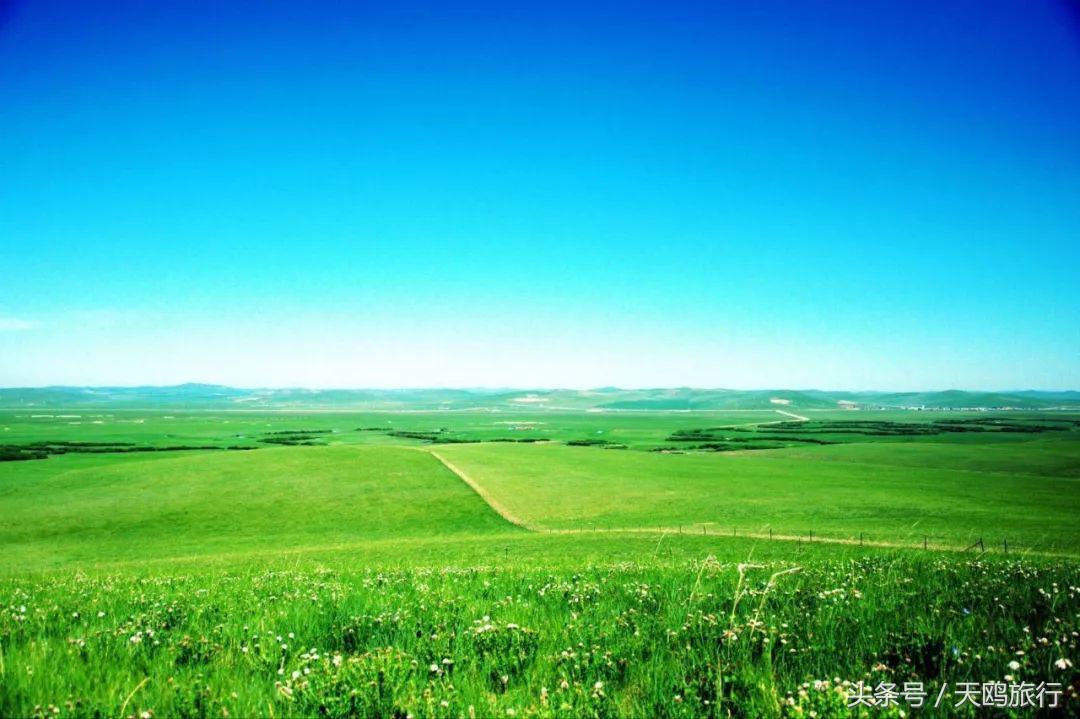 野狼谷乌拉盖狼王,乌拉盖野狼谷还有狼王吗