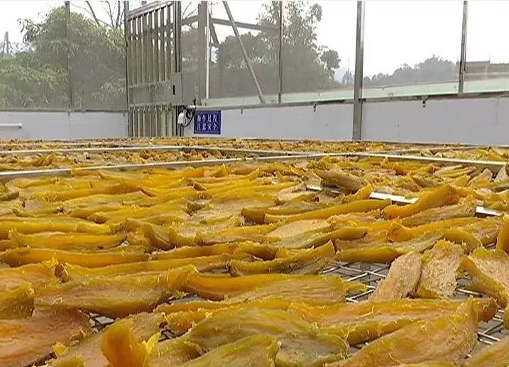 中国最美县城排行榜广宁,广宁县最美县城