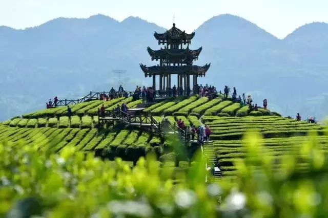 520表白季你的礼物准备好了吗,520告白季给你们最满意的礼物