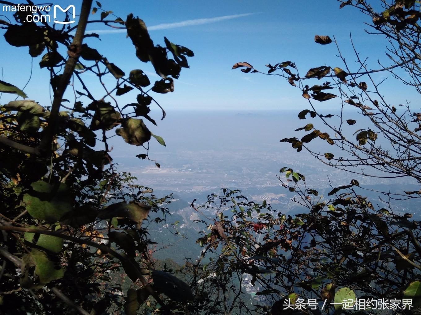 张家界机场到天门山自由行攻略,张家界天门山一日游攻略省钱