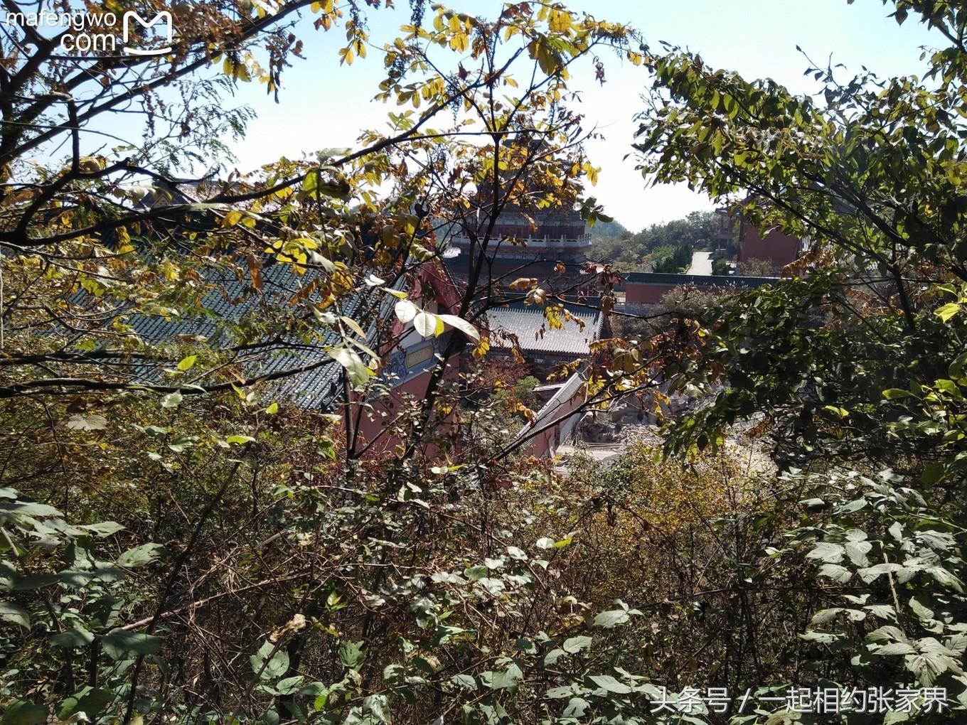 张家界机场到天门山自由行攻略,张家界天门山一日游攻略省钱