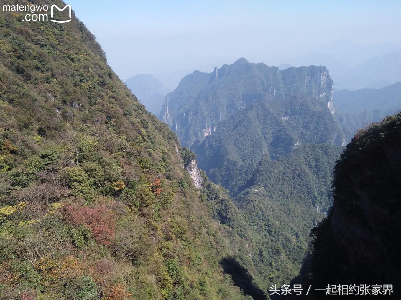 张家界机场到天门山自由行攻略,张家界天门山一日游攻略省钱