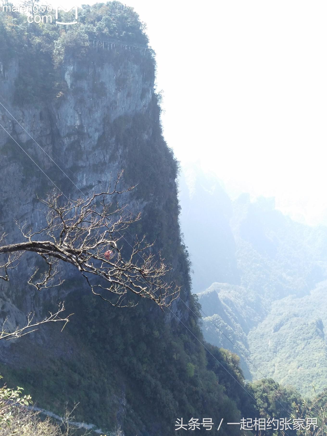 张家界机场到天门山自由行攻略,张家界天门山一日游攻略省钱
