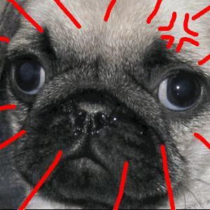 奇葩姓氏欢乐多！那个叫上床美也和肛门强的，请问你在哪个研究所