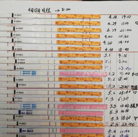 分享我两次备孕的成功经历,备孕成功的真实经验分享