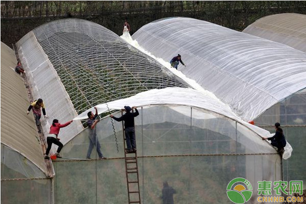 贫困户申请补助金怎么申请,符合贫困户申请条件的标准