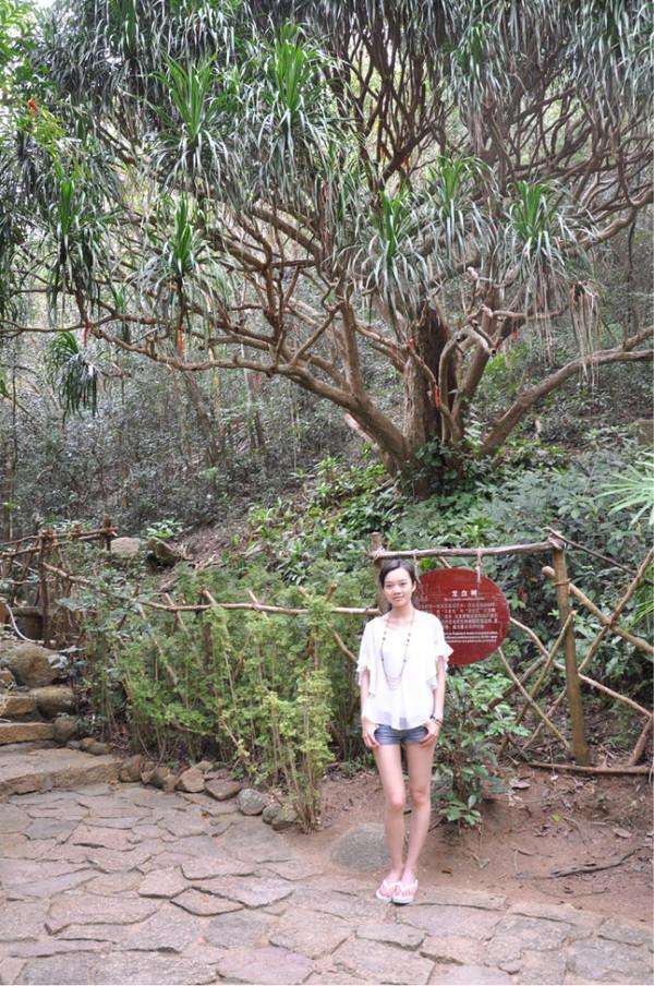 来三亚一定要吃的美食,来三亚为什么非要吃海鲜