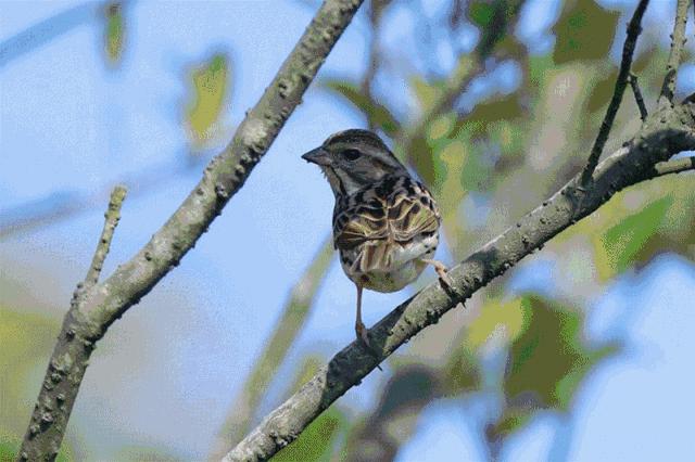 宁波最新建筑规划,宁波城市客厅打造规划