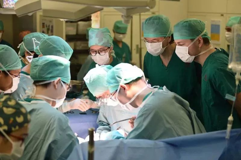 3d打印的肾移植案例,肾移植手术3d