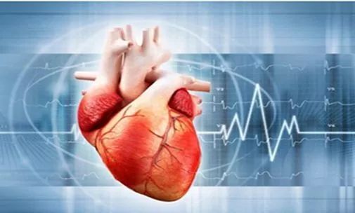 3d打印的肾移植案例,肾移植手术3d