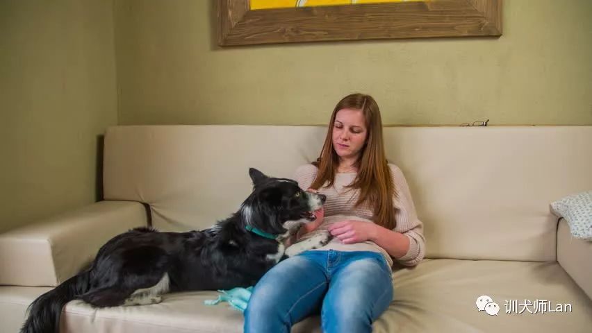 有人敲门狗狗就乱叫,有人敲门一开门狗狗就往外冲