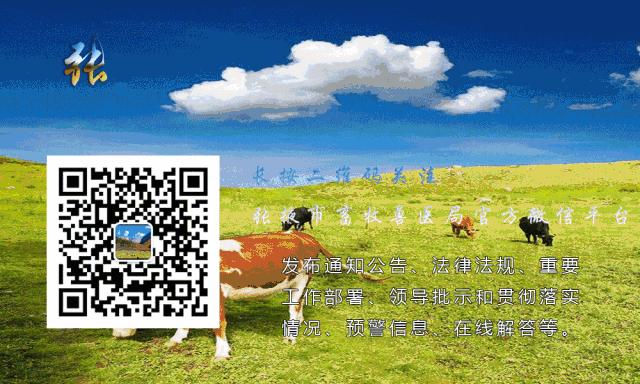 三农羊养殖技术,三农热线养羊技巧