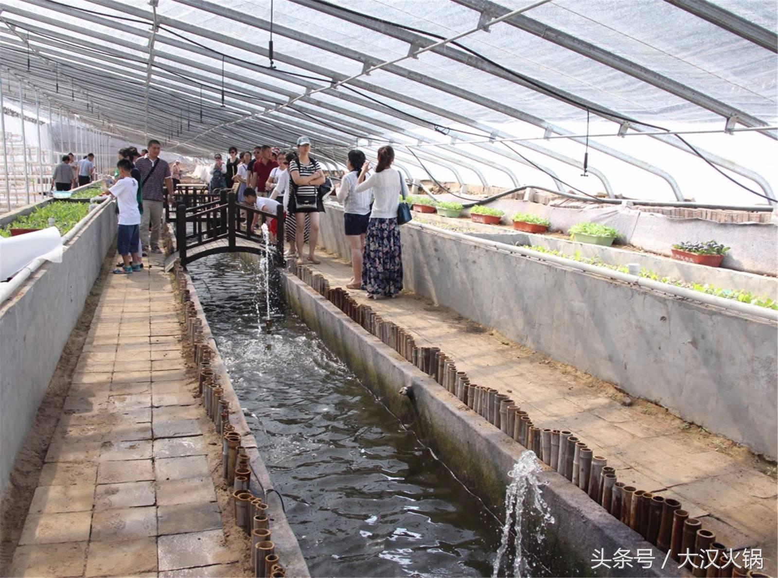 大汉火锅成都,大汉火锅中兴路