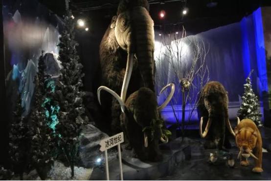 郑州万科购物广场,郑州万科购物中心开业了吗