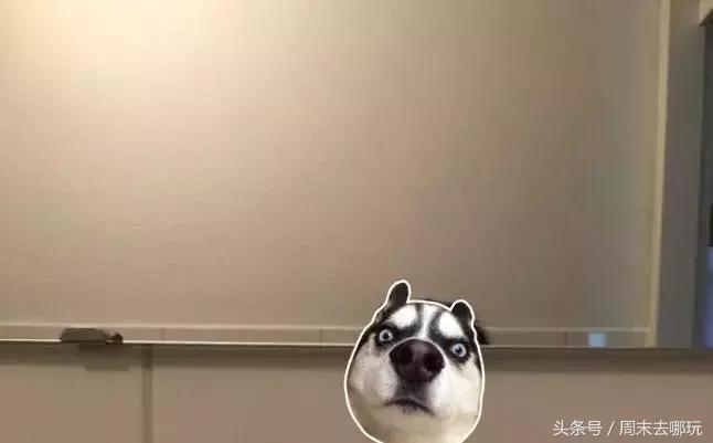 去了夏威夷才知道女人不用穿bra,去了斐济才知道,男人不爱穿裤子