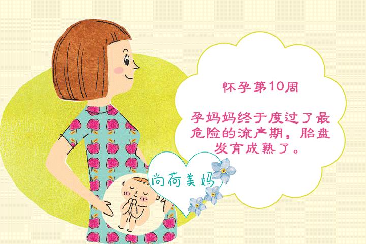 怀孕10周胎儿头臀径33mm正常么,怀孕10周便秘用力排便影响胎儿吗