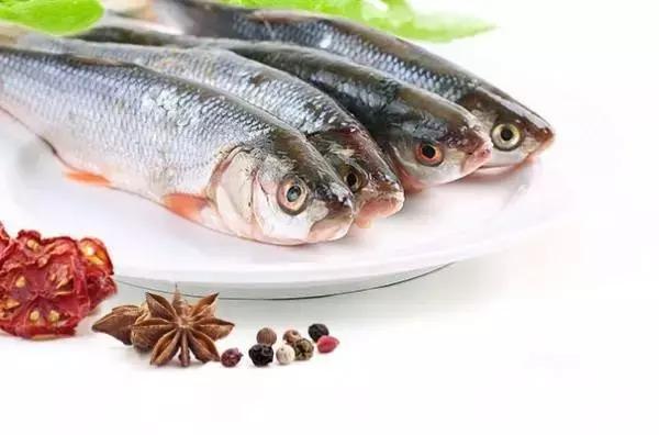 鲟鳇鱼黑龙江纯野生,黑龙江原来最大的鱼鳇鱼