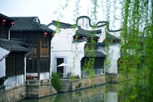 描写杨柳的诗句有哪些六年级下册,描写杨柳景色的优美句子