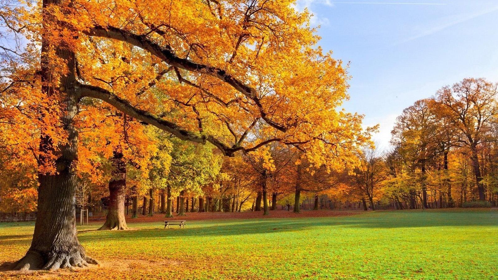 万万没想到我们日常生活中的接吻不仅美妙还外带六大功效