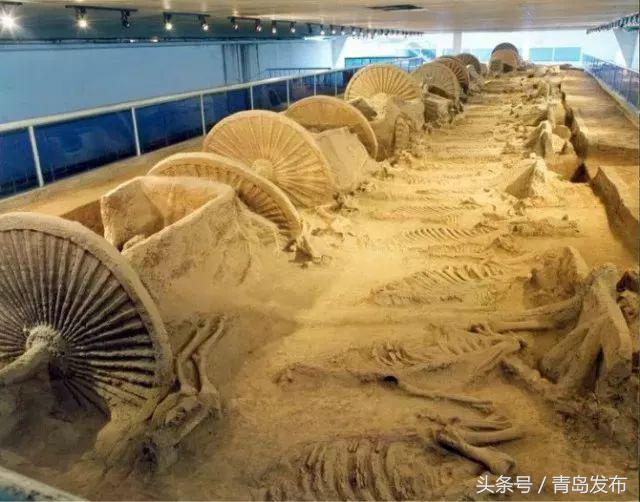 青岛济青高铁,济青高铁青岛机场站