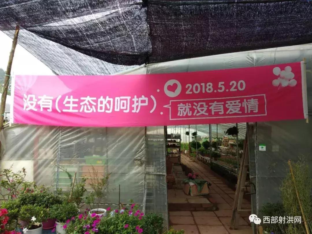 520全城热恋昌邑,520全城热恋成都