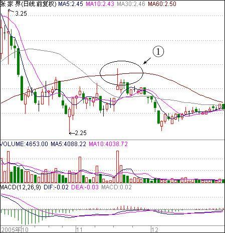 如果中国股市暴跌会怎么样,如果再次爆发金融危机股市会怎样
