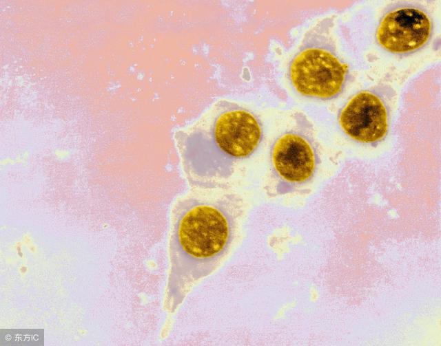 沙眼怎么治疗,沙眼严重吗有什么危害