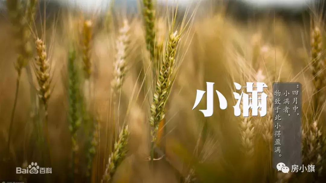 大兴黄村现状,大兴黄村的发展