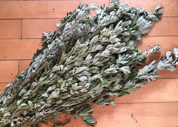 艾草怎么入药好吃呢,艾草夏天有妙用既是药材也是食材