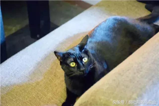 马鞍山有网红打卡基地吗,重庆马鞍山网红打卡景点