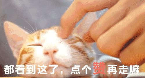 怀孕吃了感冒药和消炎药能要吗,吃了消炎药发现怀孕孩子可以要吗