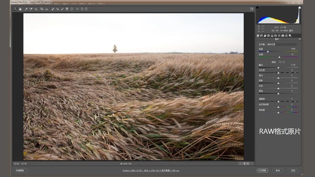 如何拍出油腻感的照片,怎么拍出油腻照片