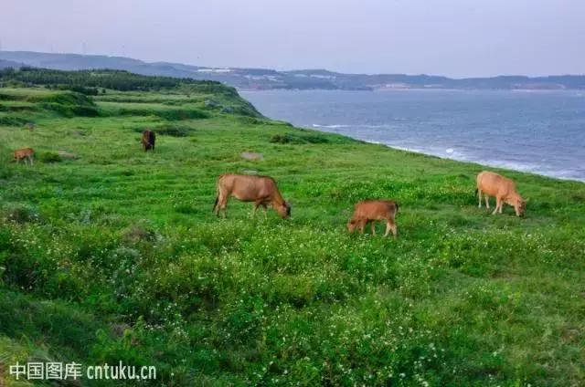 踏青攻略请收好,踏青出游时请收好这份指南