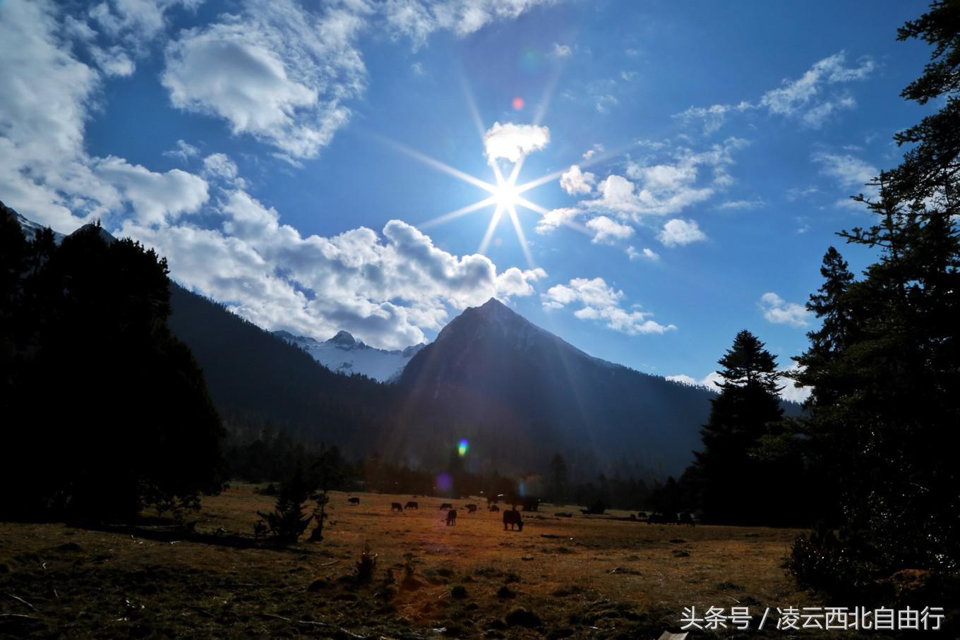 行，为寻三生三世桃花，却爱上了*藏西**的那抹蓝