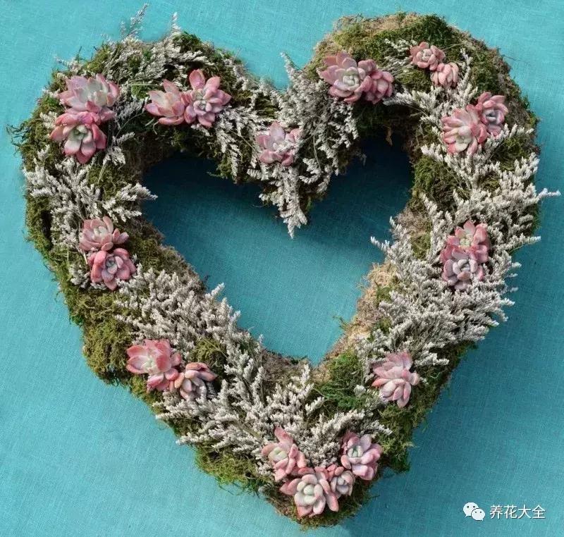 老外私家花园景观,国外多肉花园