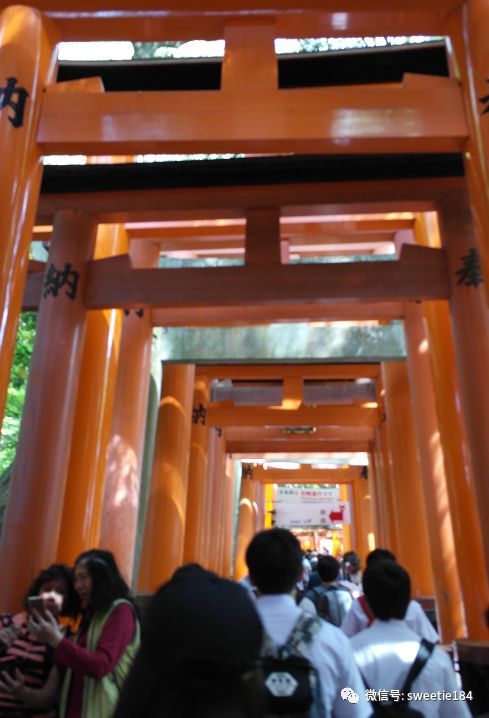 京都大阪奈良旅游游记,暴走大阪京都