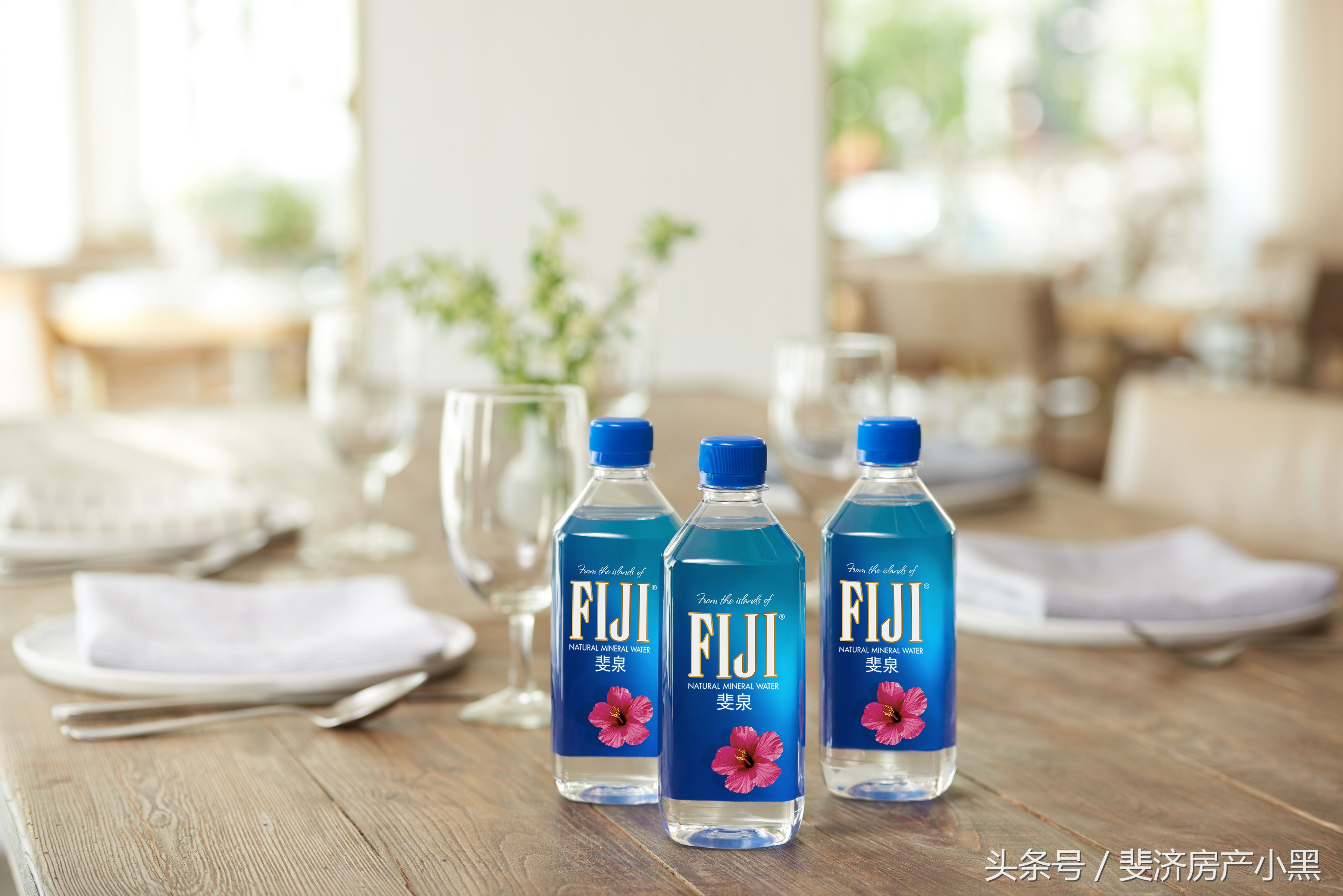 斐济旅游攻略必买清单及费用,去斐济的攻略