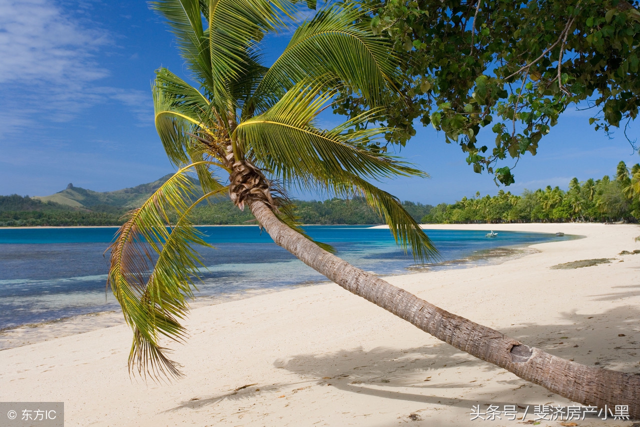 斐济旅游攻略必买清单及费用,去斐济的攻略