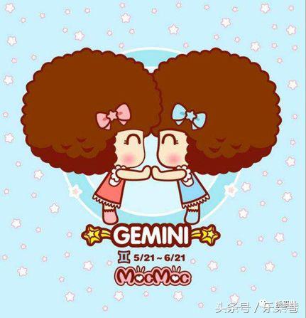 十二星座“老婆使用前须知手册说明书”