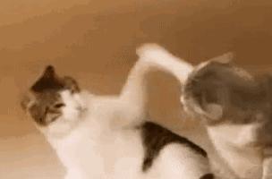 炉石传说战士每个版本都这么弱吗,炉石传说天梯机制最新