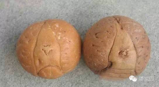 龙眼麒麟眼凤眼怎么分,凤眼龙眼麒麟眼的区别图