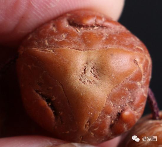 龙眼麒麟眼凤眼怎么分,凤眼龙眼麒麟眼的区别图