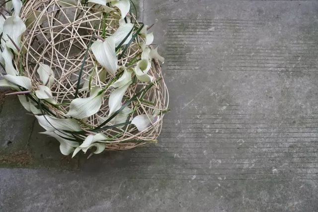 第十六期“眼界论坛”精彩亮相！｜爱花之人，必是情愫满满