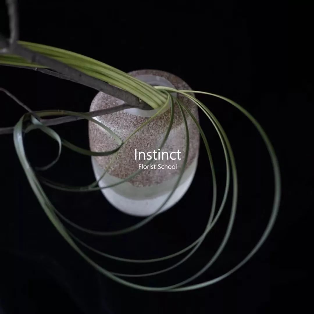 第十六期“眼界论坛”精彩亮相！｜爱花之人，必是情愫满满