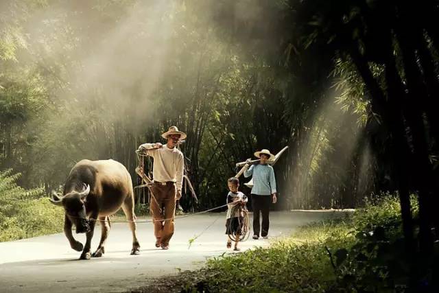 江西遂川老家视频,遂川县城的老县城照片