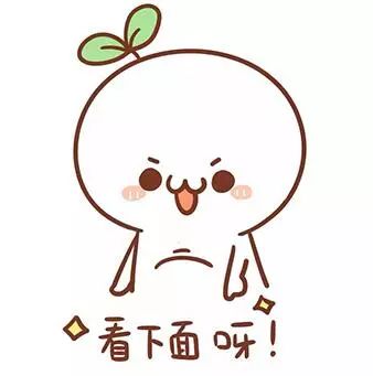 清远省运会什么时候开始2024,清远第十六届运动会