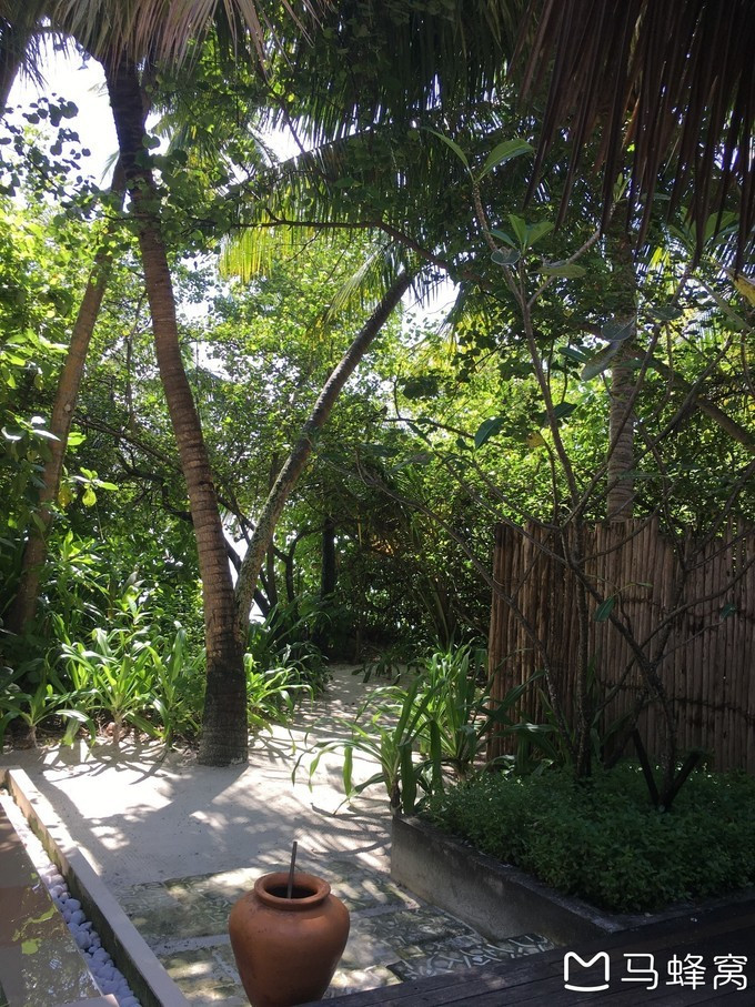 蜜月之都马尔代夫,蜜月旅行之马尔代夫