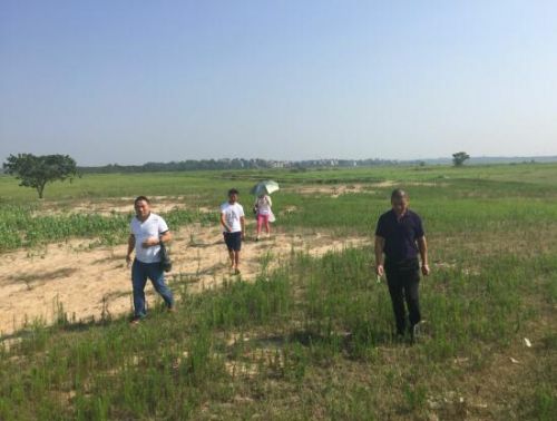 土地流转助推产业振兴,土地经纪人的潜力