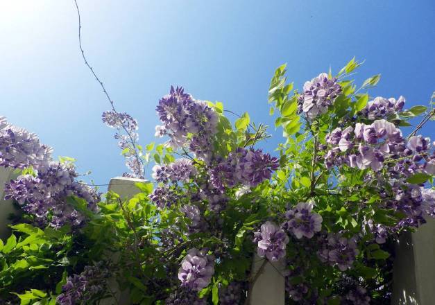 从广文书院到台州中学，“台邦第一名校”走过151年